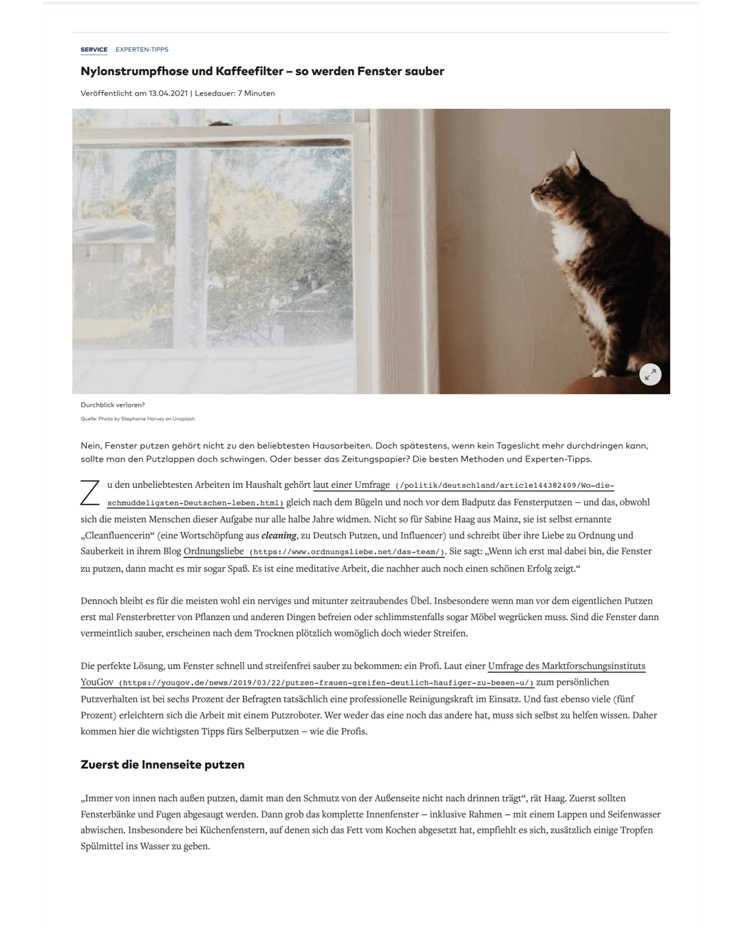 Welt Fenster richtig putzen April 2021 Sabine Haag Ordnungsliebe